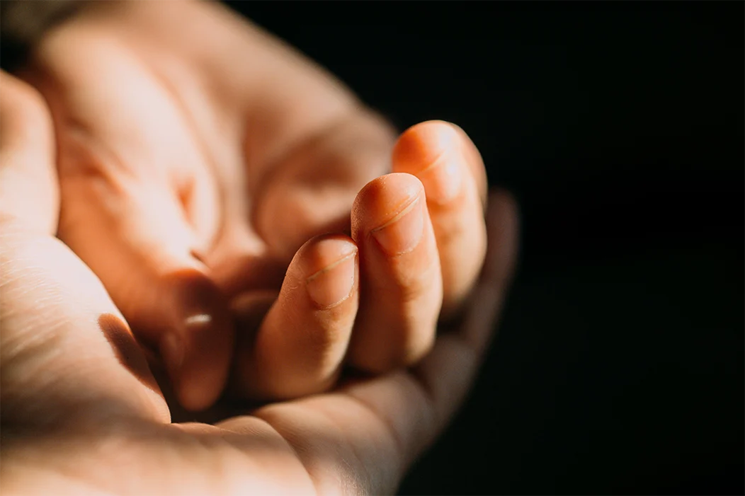 Open hands in warm light, representing support, safety, and trauma-informed healing beneath the surface.