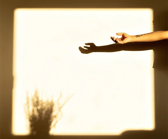 Hand reaching into warm natural light, symbolizing body awareness and somatic healing.
