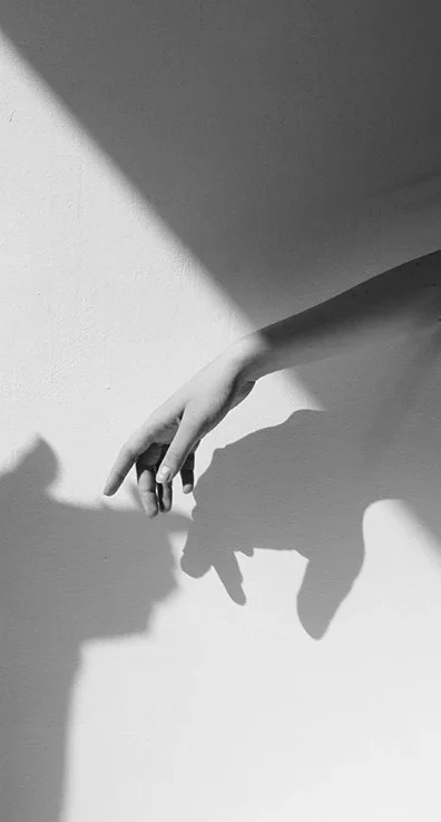 Hand and shadows representing emotional healing and human connection