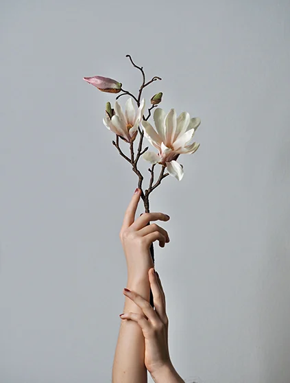 Hands holding flowers representing healing, personal growth and creating a new life